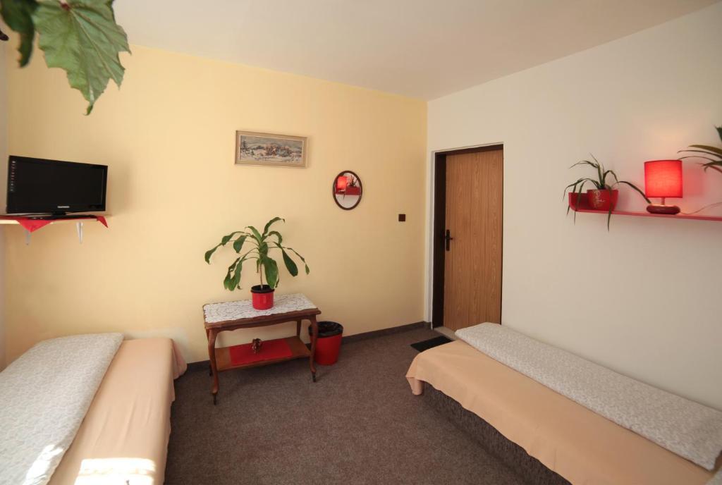 Pension U Kastanu Karlovy Vary Oda fotoğraf